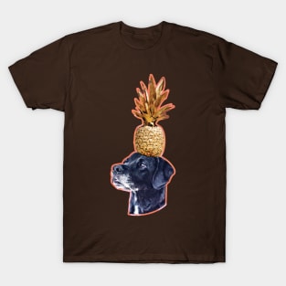 Labrador balancing a pineapple T-Shirt